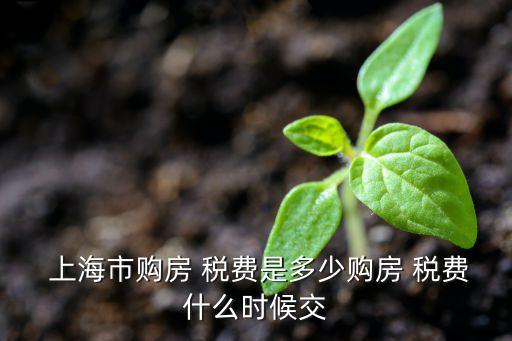  上海市購房 稅費(fèi)是多少購房 稅費(fèi)什么時(shí)候交