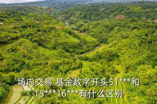 深市分級基金,深市T0ETF基金