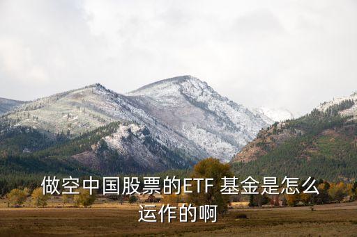 做空基金代碼,有沒有做空的基金