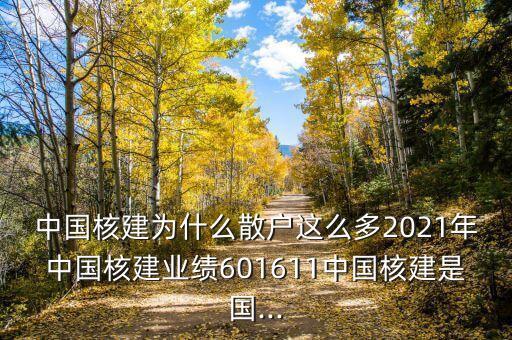 中國(guó)核工股票