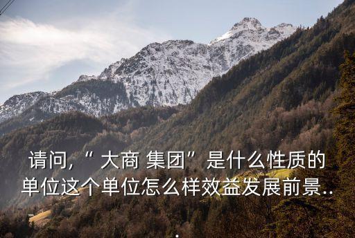 請問,“ 大商 集團(tuán)”是什么性質(zhì)的單位這個(gè)單位怎么樣效益發(fā)展前景...