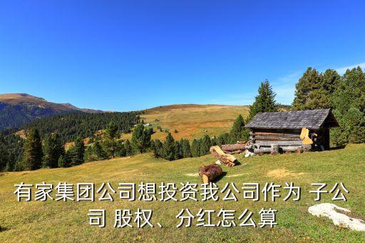 有家集團(tuán)公司想投資我公司作為 子公司 股權(quán)、分紅怎么算