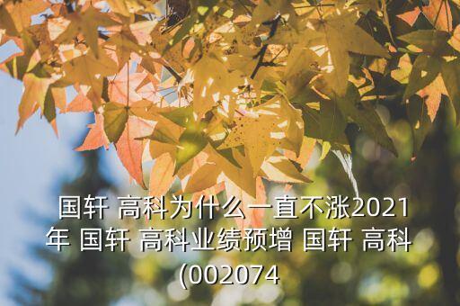 國(guó)軒 高科為什么一直不漲2021年 國(guó)軒 高科業(yè)績(jī)預(yù)增 國(guó)軒 高科(002074