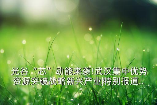  光谷“芯”動(dòng)能來襲!武漢集中優(yōu)勢(shì)資源突破戰(zhàn)略新興產(chǎn)業(yè)|特別報(bào)道...