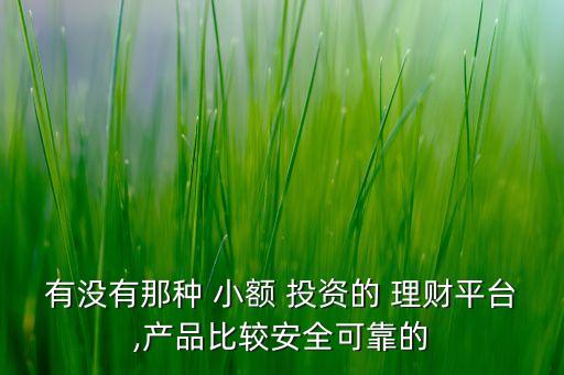 小額做網(wǎng)上什么投資理財