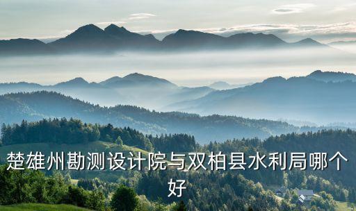 楚雄州勘測設(shè)計院與雙柏縣水利局哪個好