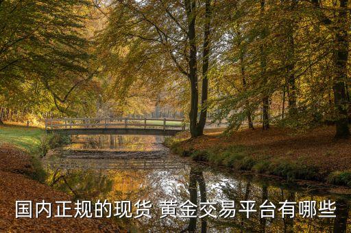 國(guó)內(nèi)正規(guī)的現(xiàn)貨 黃金交易平臺(tái)有哪些