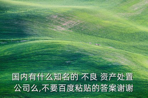 國(guó)內(nèi)有什么知名的 不良 資產(chǎn)處置 公司么,不要百度粘貼的答案謝謝