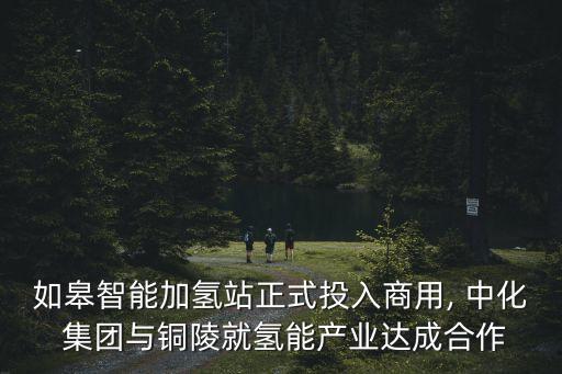如皋智能加氫站正式投入商用, 中化 集團(tuán)與銅陵就氫能產(chǎn)業(yè)達(dá)成合作