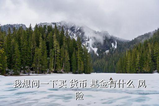 我想問一下買 貨幣 基金有什么 風(fēng)險(xiǎn)