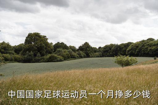 中國國家足球運(yùn)動員一個月掙多少錢