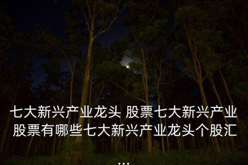2012年北方水泥股票