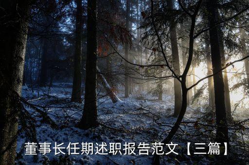  董事長任期述職報告范文【三篇】