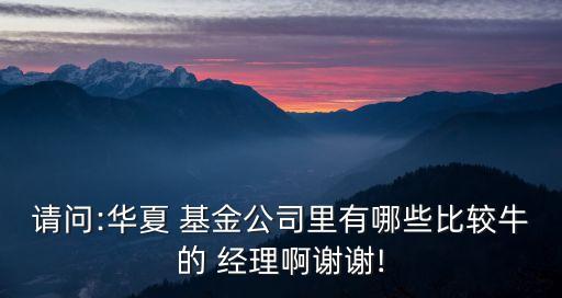 請問:華夏 基金公司里有哪些比較牛的 經(jīng)理啊謝謝!