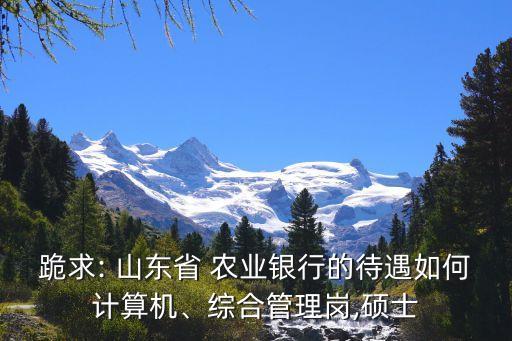 跪求: 山東省 農業(yè)銀行的待遇如何計算機、綜合管理崗,碩士