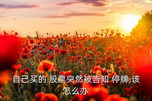 自己買的 股票突然被告知 停牌,該怎么辦
