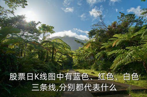  股票日K線圖中有藍色、紅色、白色 三條線,分別都代表什么