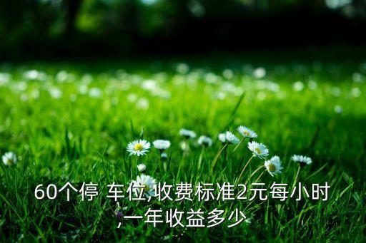 60個(gè)停 車(chē)位,收費(fèi)標(biāo)準(zhǔn)2元每小時(shí),一年收益多少