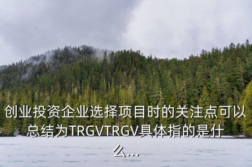 創(chuàng)業(yè)投資企業(yè)選擇項(xiàng)目時(shí)的關(guān)注點(diǎn)可以總結(jié)為TRGVTRGV具體指的是什么...