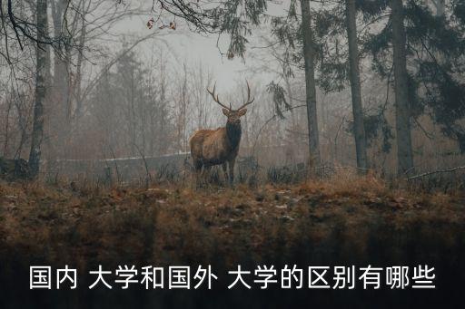 國(guó)內(nèi) 大學(xué)和國(guó)外 大學(xué)的區(qū)別有哪些