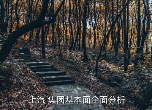  上汽 集團基本面全面分析