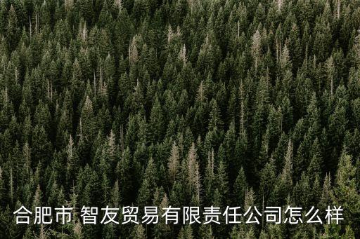 合肥市 智友貿(mào)易有限責(zé)任公司怎么樣