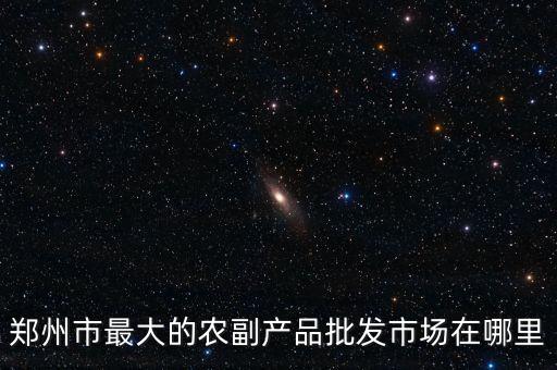 鄭州市最大的農(nóng)副產(chǎn)品批發(fā)市場(chǎng)在哪里