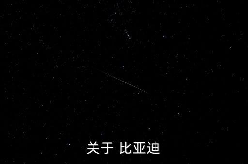 深圳市比亞迪電子部品件有限公司