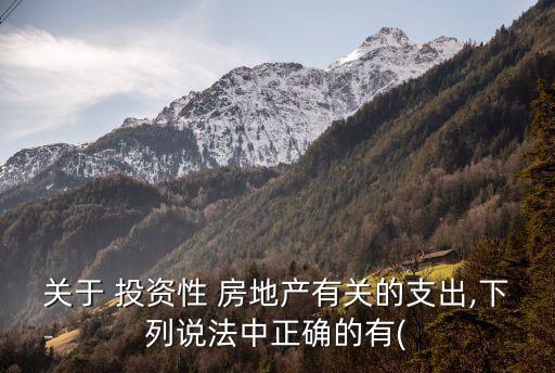 關于 投資性 房地產有關的支出,下列說法中正確的有(