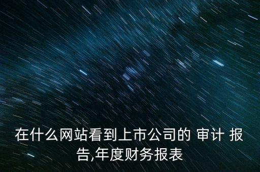 在什么網(wǎng)站看到上市公司的 審計 報告,年度財務報表