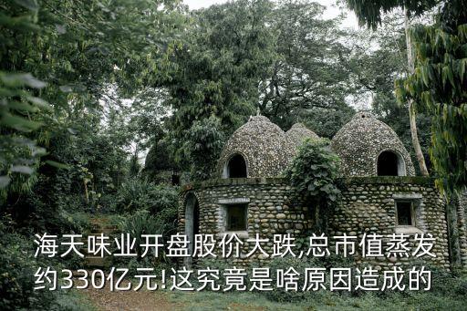  海天味業(yè)開(kāi)盤(pán)股價(jià)大跌,總市值蒸發(fā)約330億元!這究竟是啥原因造成的