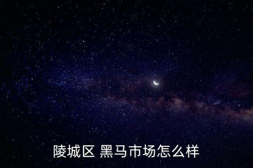 德州黑馬集團(tuán)董事長(zhǎng)