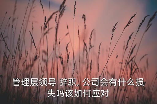 管理層領導 辭職, 公司會有什么損失嗎該如何應對