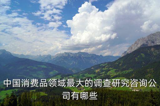 中國(guó)消費(fèi)類(lèi)企業(yè),消費(fèi)類(lèi)企業(yè)是什么意思