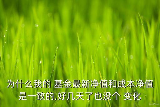 為什么我的 基金最新凈值和成本凈值是一致的,好幾天了也沒個(gè) 變化