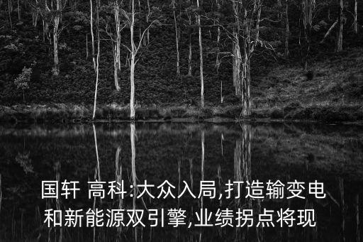  國(guó)軒 高科:大眾入局,打造輸變電和新能源雙引擎,業(yè)績(jī)拐點(diǎn)將現(xiàn)