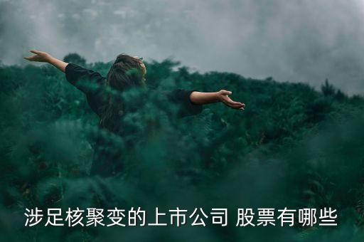 中國(guó)西電股票吧