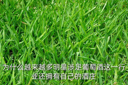 上海夢洛紅酒進口