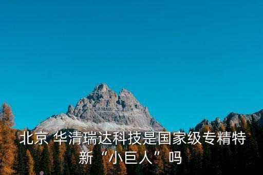  北京 華清瑞達(dá)科技是國(guó)家級(jí)專精特新“小巨人”嗎