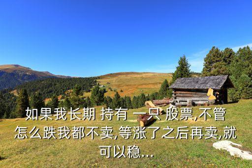 如果我長(zhǎng)期 持有 一只 股票,不管怎么跌我都不賣,等漲了之后再賣,就可以穩(wěn)...