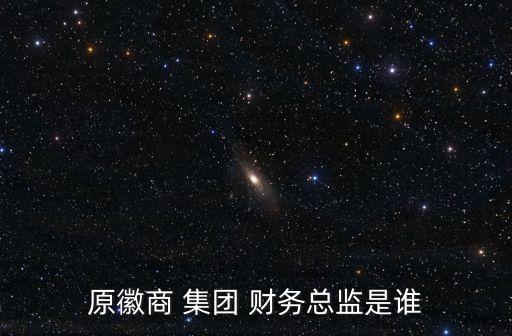 原徽商 集團(tuán) 財(cái)務(wù)總監(jiān)是誰