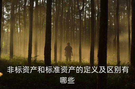  非標資產和標準資產的定義及區(qū)別有哪些