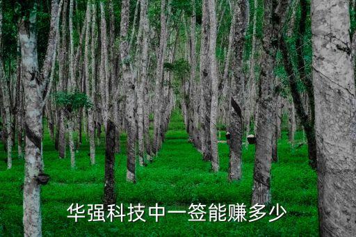 華強科技中一簽?zāi)苜嵍嗌? class=