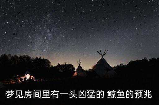 鯨魚寶平安集團擔保