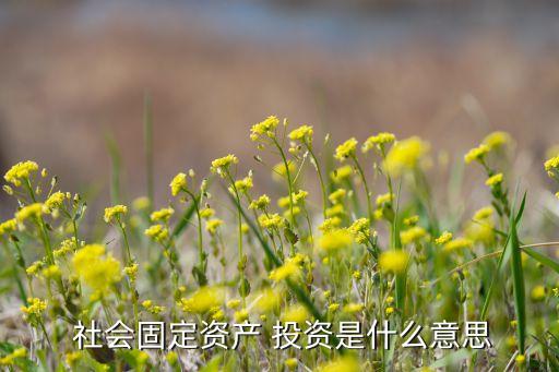  社會(huì)固定資產(chǎn) 投資是什么意思