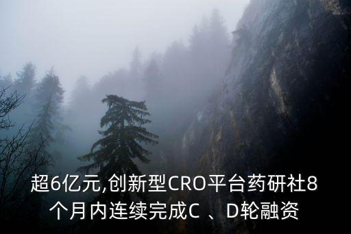 超6億元,創(chuàng)新型CRO平臺藥研社8個月內(nèi)連續(xù)完成C 、D輪融資