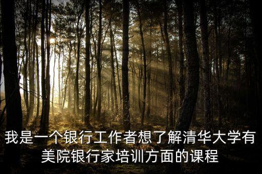 我是一個(gè)銀行工作者想了解清華大學(xué)有美院銀行家培訓(xùn)方面的課程