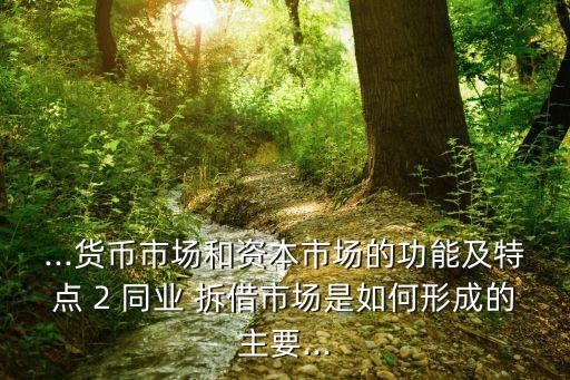 ...貨幣市場和資本市場的功能及特點(diǎn) 2 同業(yè) 拆借市場是如何形成的主要...
