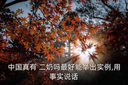 中國真有 二奶嗎最好能舉出實(shí)例,用事實(shí)說話