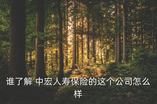 誰(shuí)了解 中宏人壽保險(xiǎn)的這個(gè)公司怎么樣